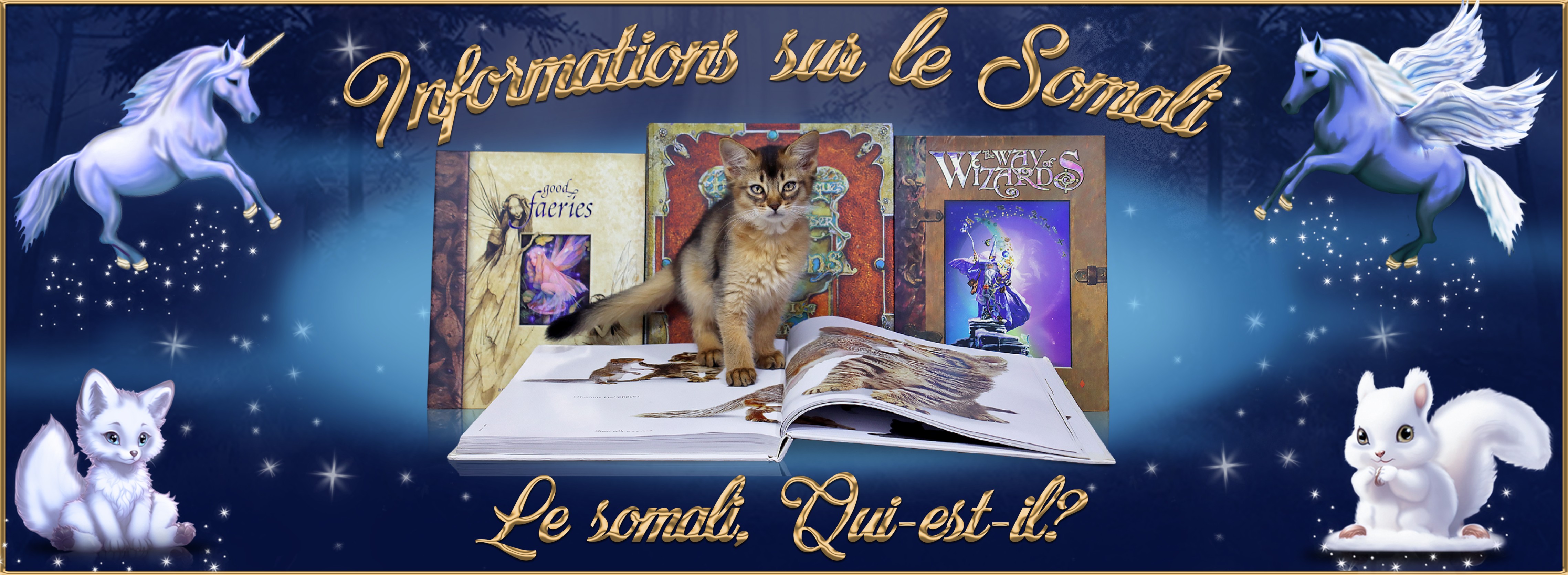 1-Le somali qui est t il.jpg