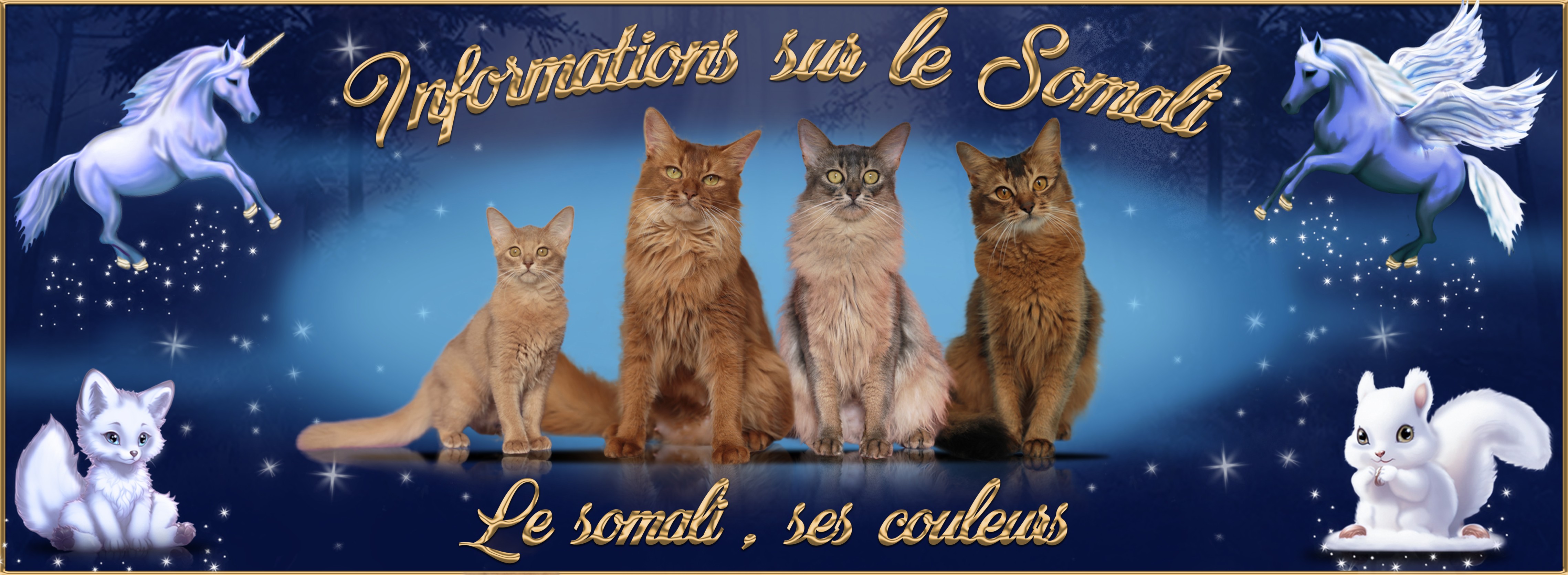 3-Le somali ses couleurs.jpg