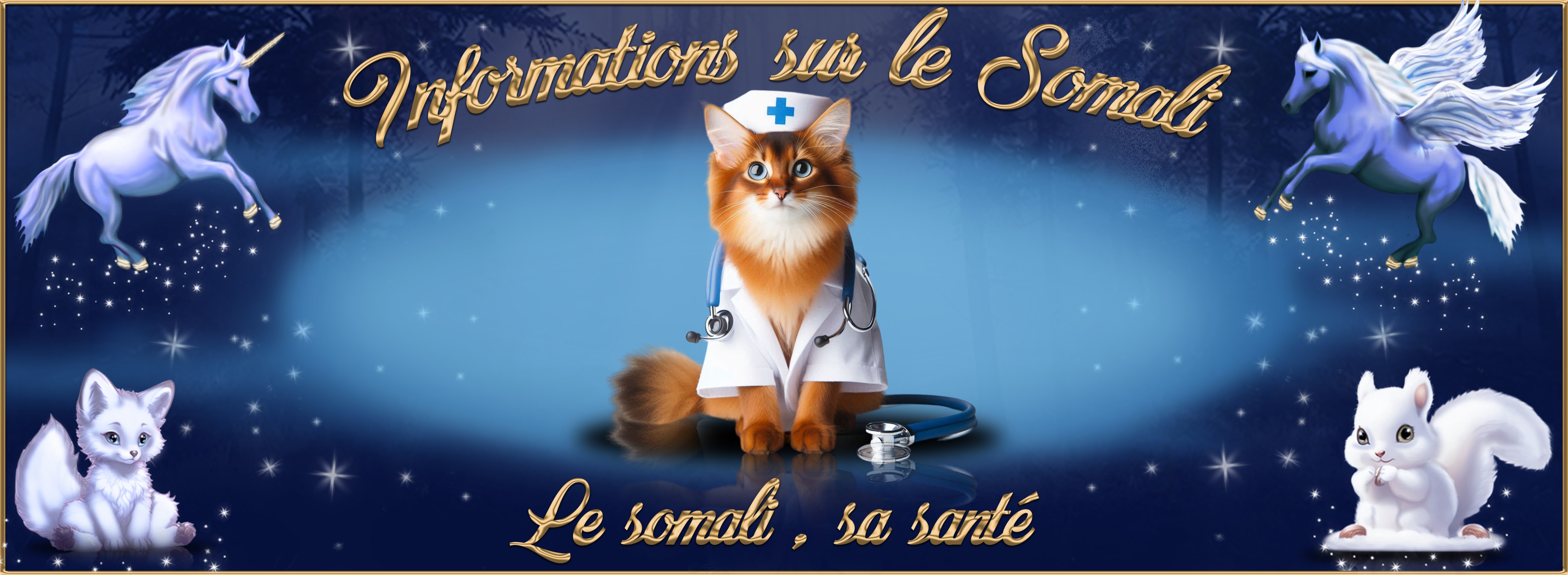 5-Le somali sa santé.jpg