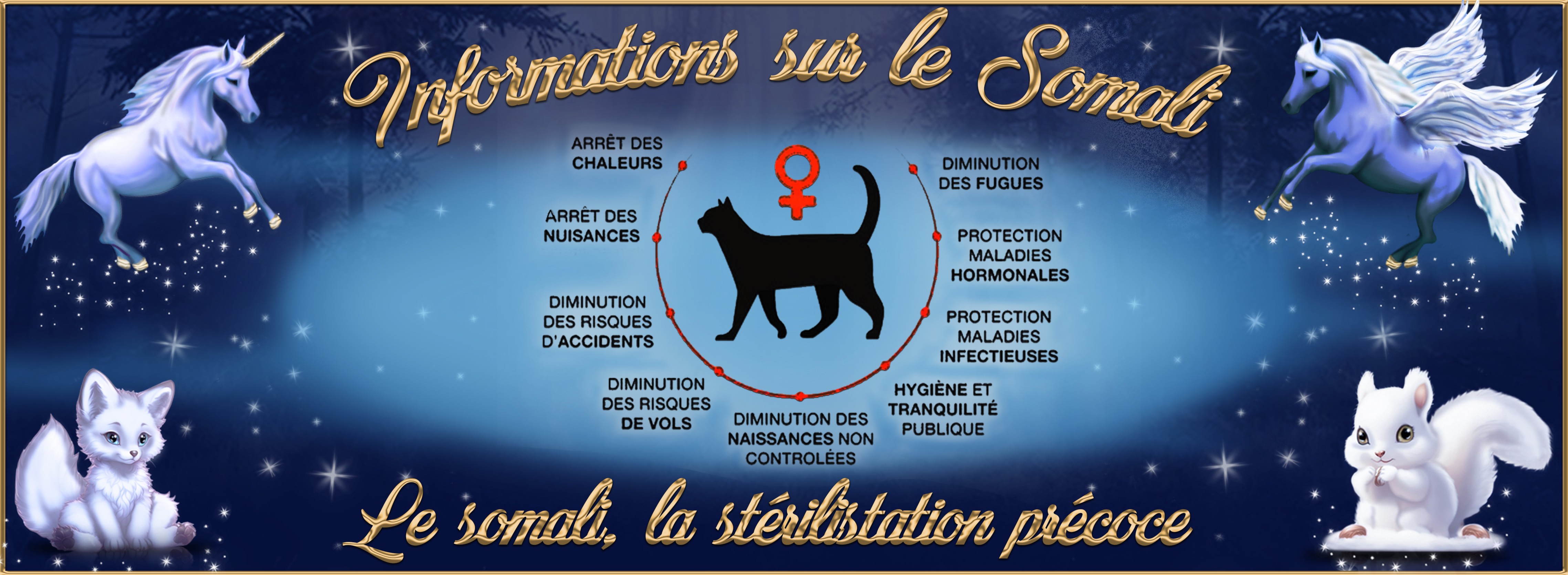 6-Le somali son stérilisation.jpg