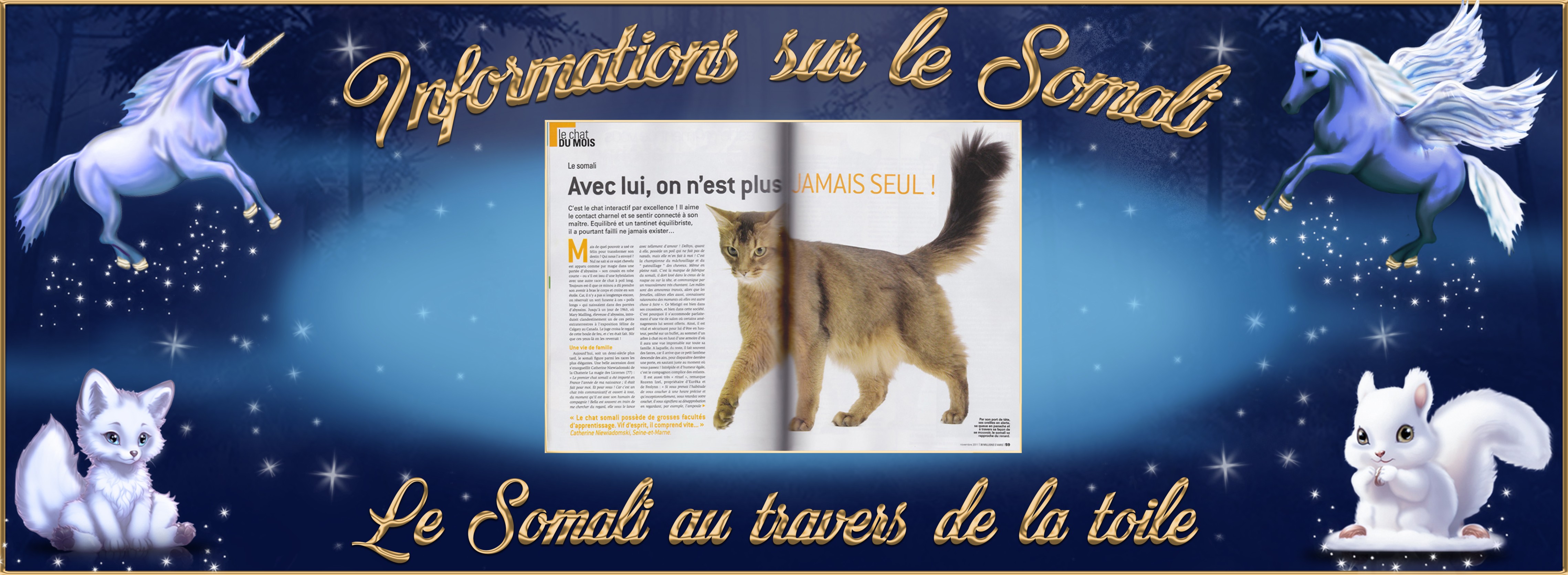 7-Le somali a travers de la toile.jpg