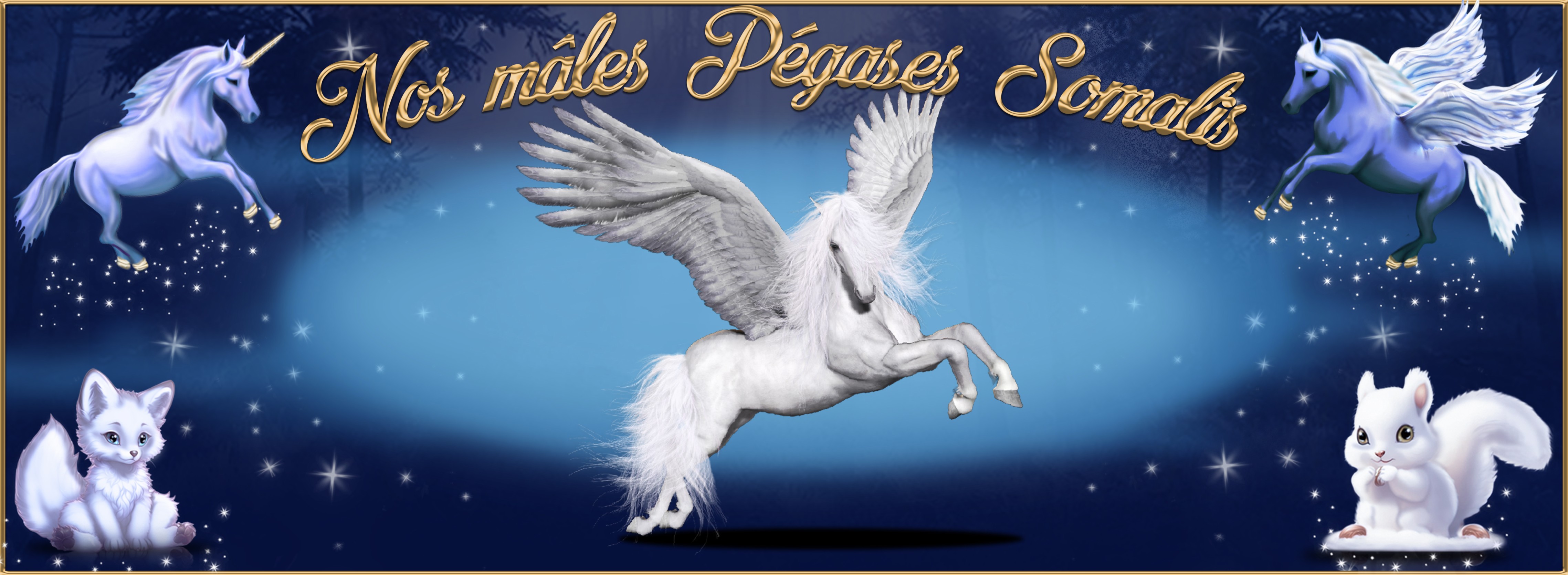 Nos males Pégases Somalis.jpg