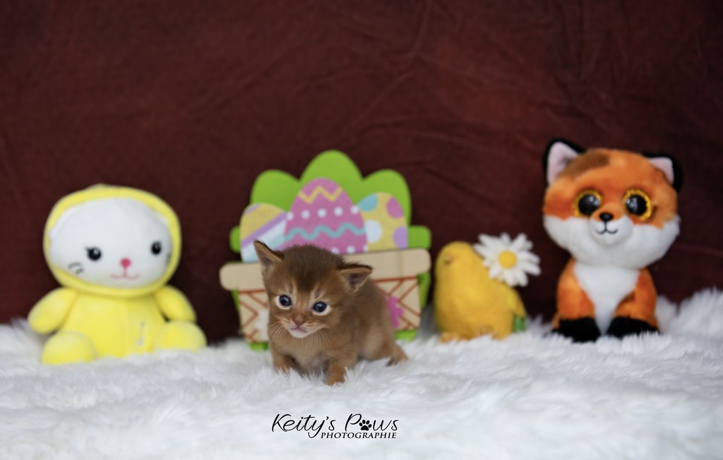 Amandine Aum 3 Semaines