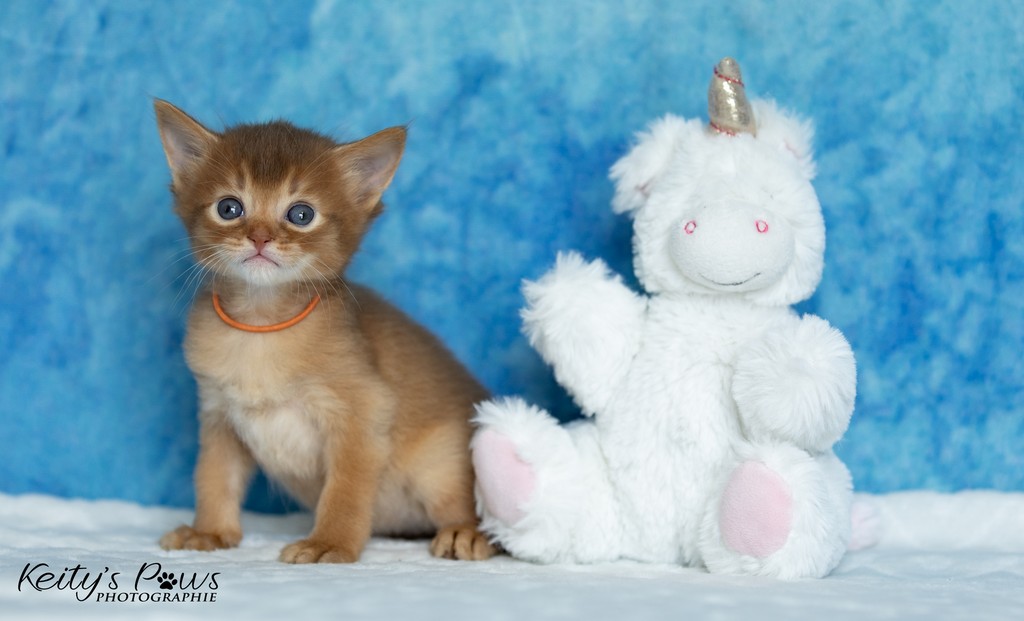  Amandine Aum  1 Mois