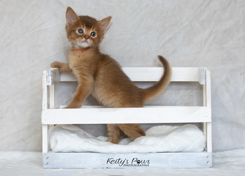 Amandine Aum  1 Mois