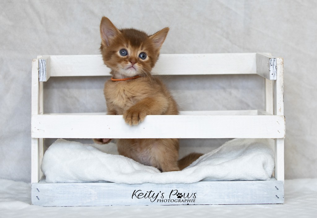 Amandine Aum  1 Mois