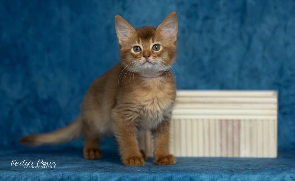 After Eight Minty 2 Mois