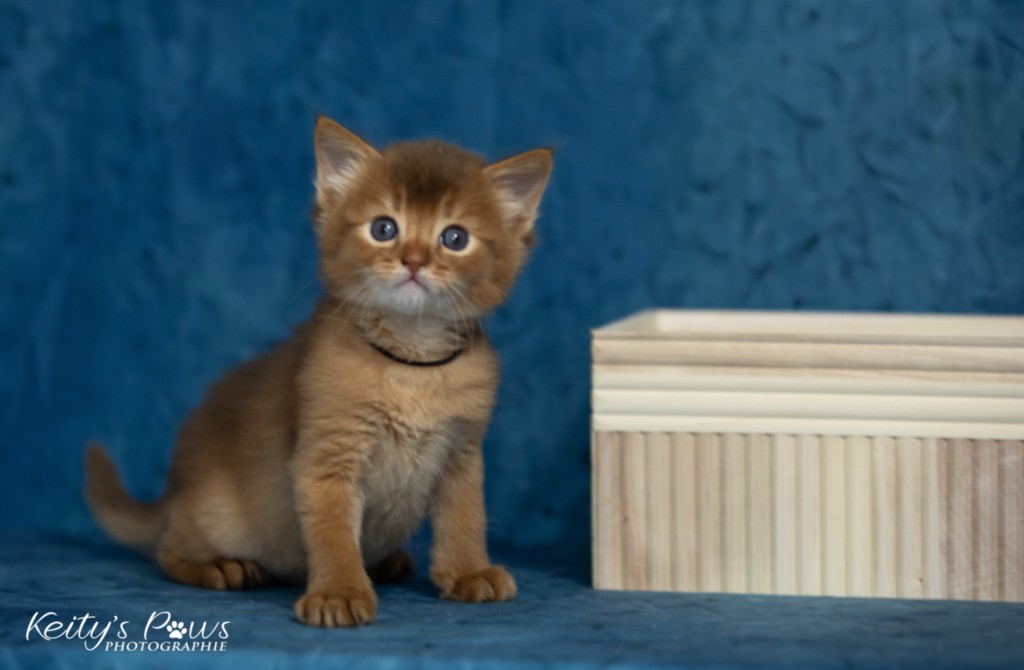 Asthur-Achille 1 Mois