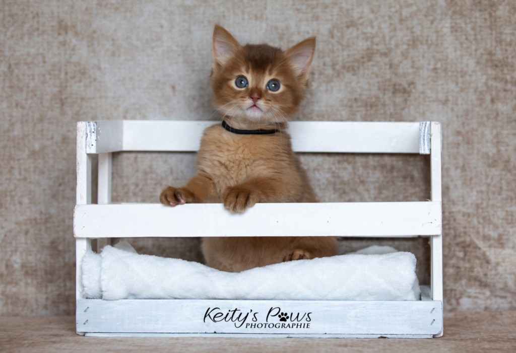 Asthur-Achille  1 Mois