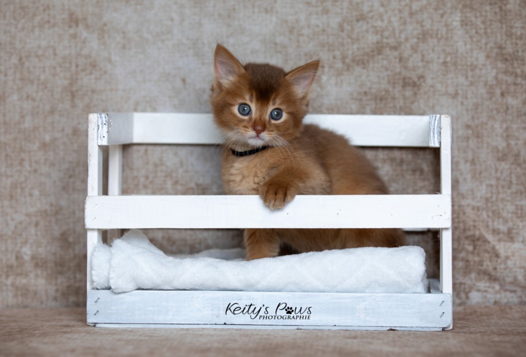 Asthur-Achille  1 Mois