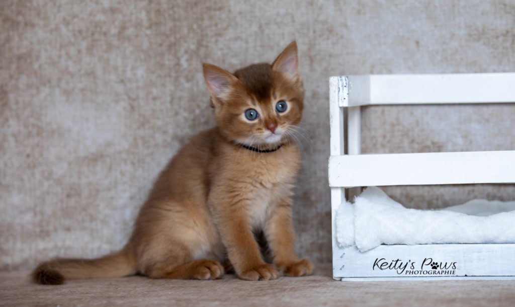 Asthur-Achille  1 Mois