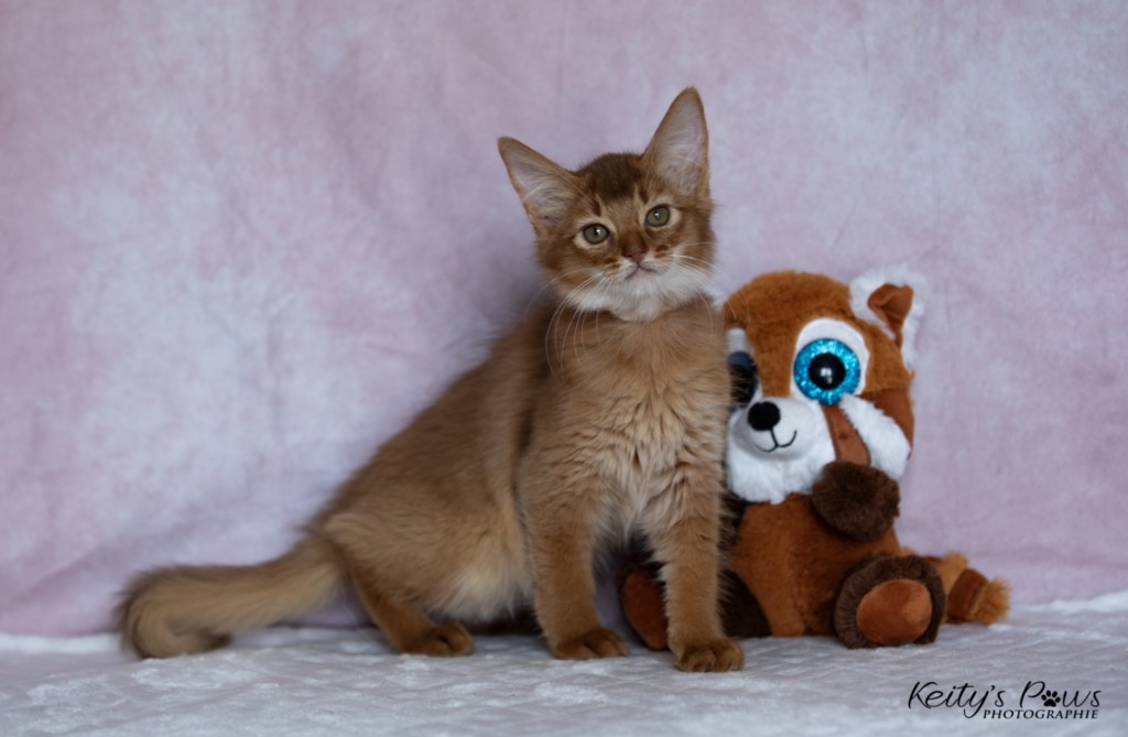 After Eight-Minty 2 Mois