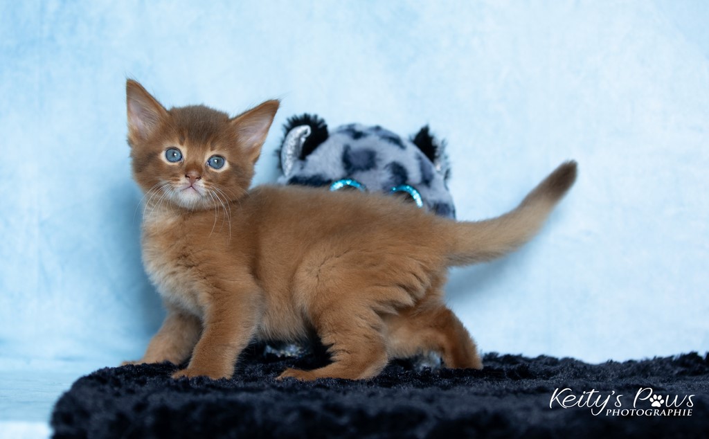 Zenkō "Teto"  1 Mois