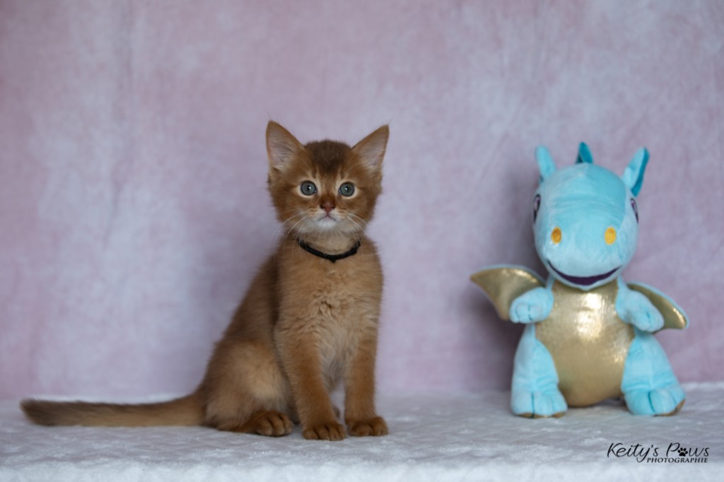  Asthur-Achille 1 Mois