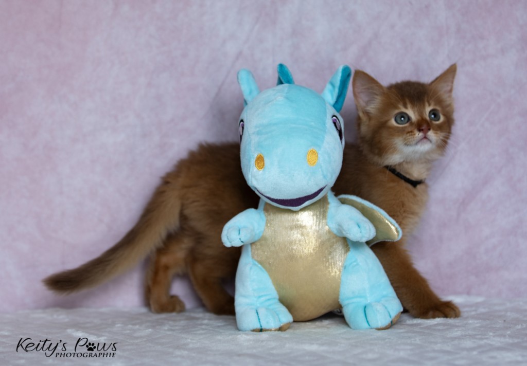  Asthur-Achille 1 Mois