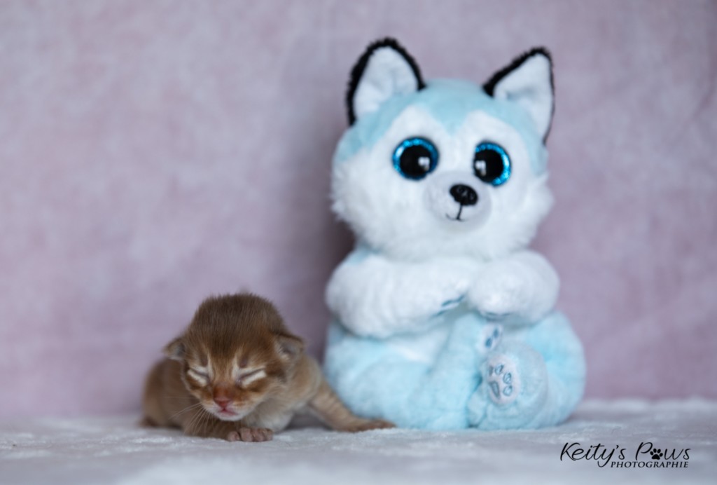 Athena-Abigail  1 Semaine