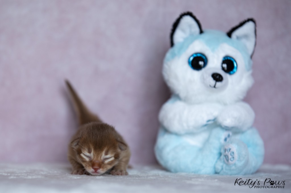 Athena-Abigail  1 Semaine