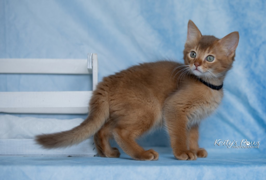  Asthur-Achille 2 Mois