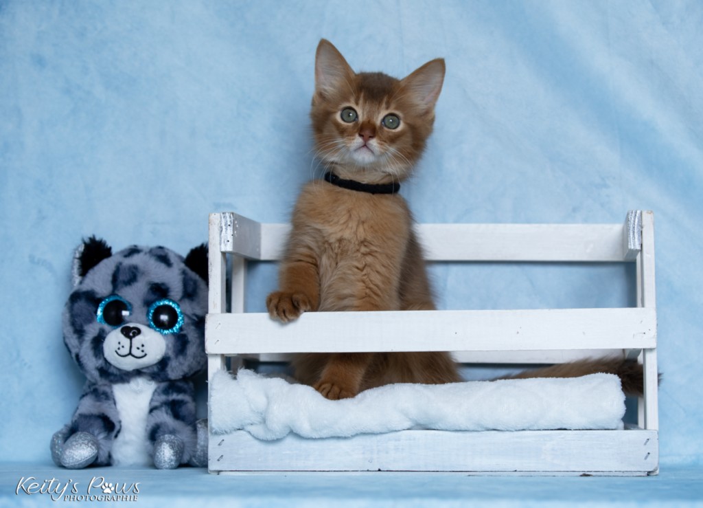  Asthur-Achille 2 Mois