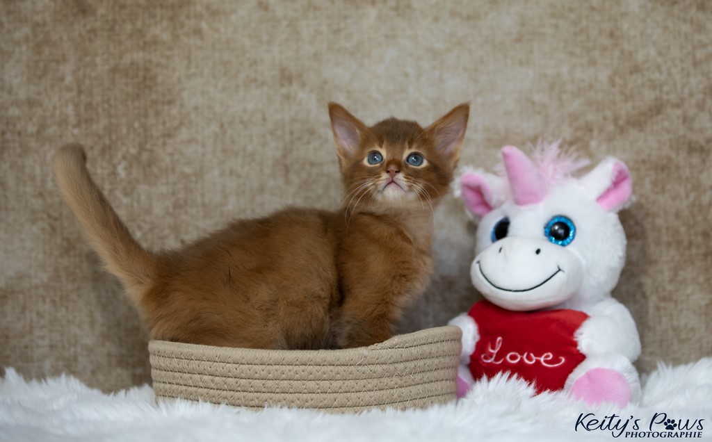  Zenkō "Teto"  1 Mois