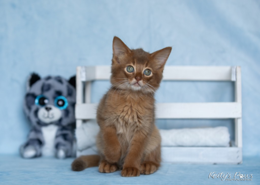 Ashka-Ayrton  2 Mois