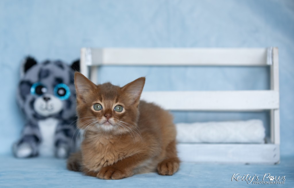 Ashka-Ayrton  2 Mois