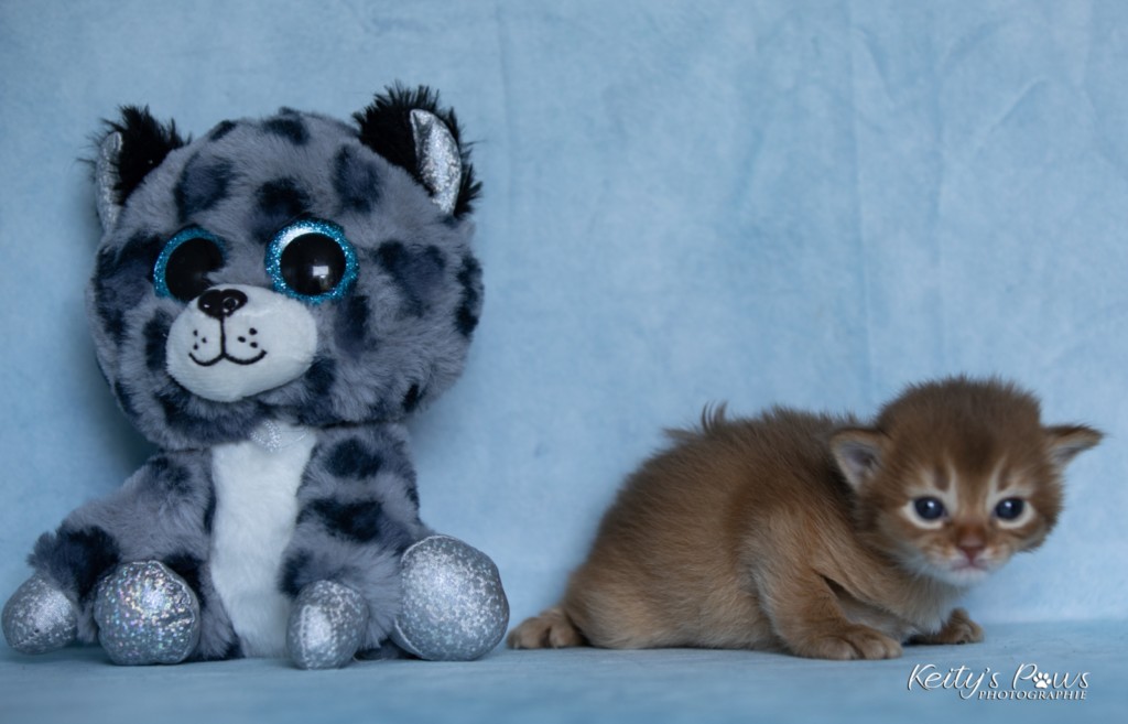 Athena-Abigail  2 Semaines