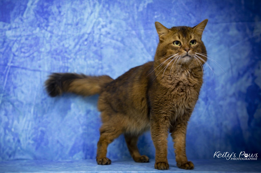 Teegän Morningstar 4 ans