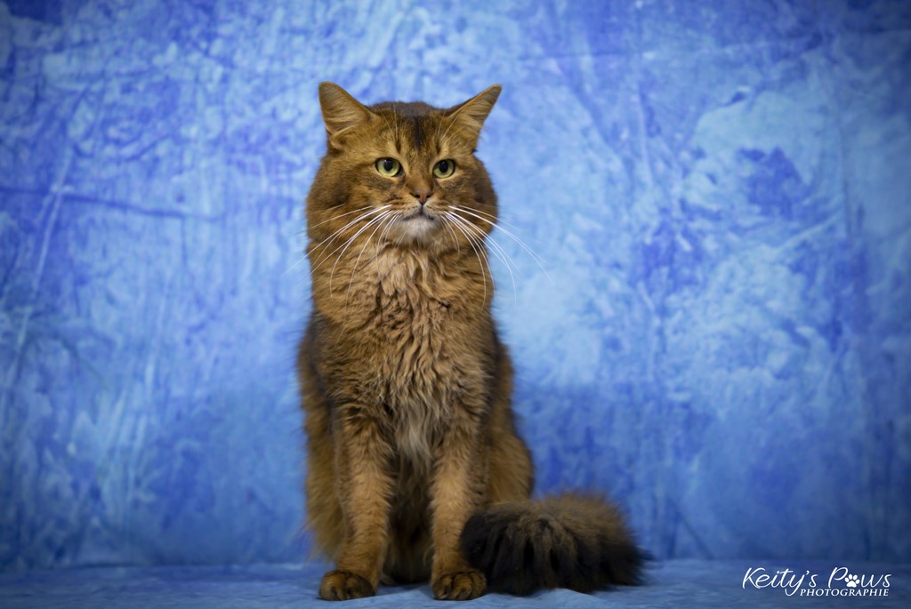 Teegän Morningstar 4 ans