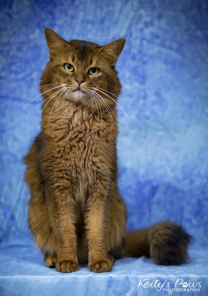 Teegän Morningstar 4 ans