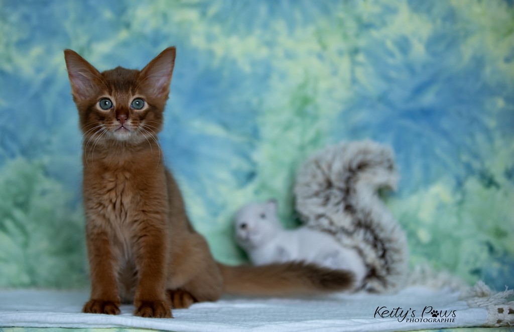  Zenkō "Teto"  1 Mois