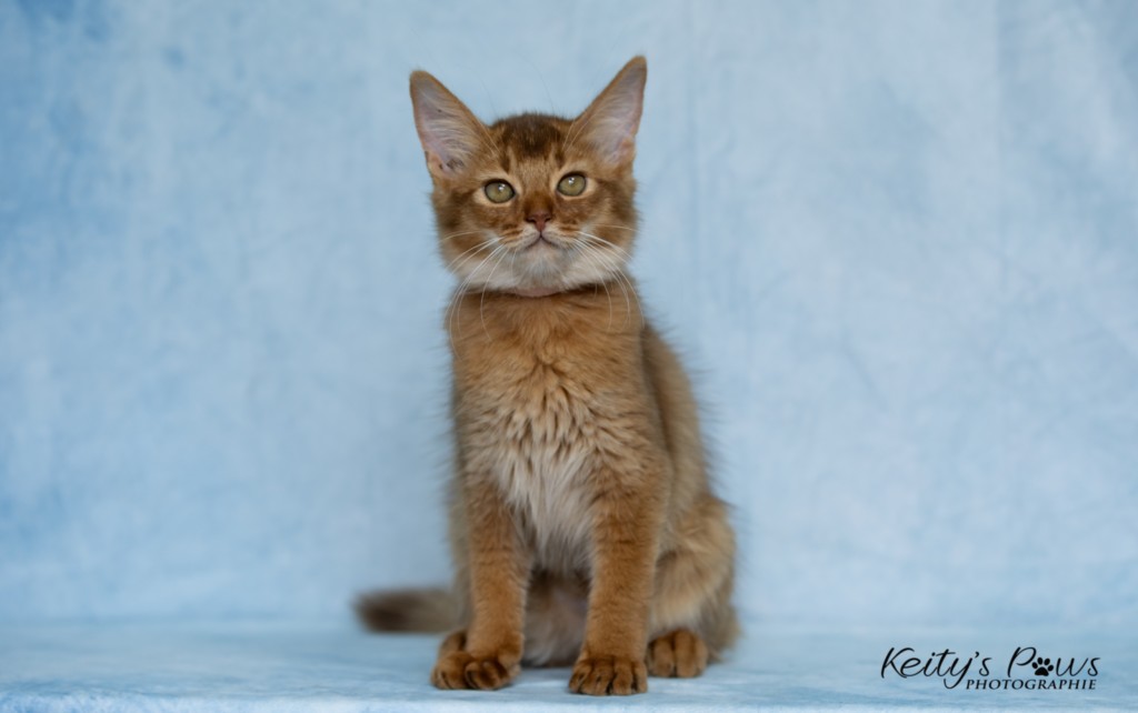 After-Eight Minty 3 Mois