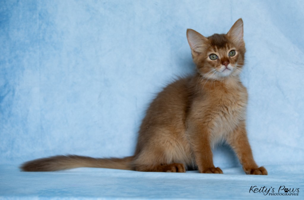   Asthur-Achille 2 Mois