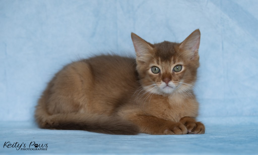  Asthur-Achille 2 Mois