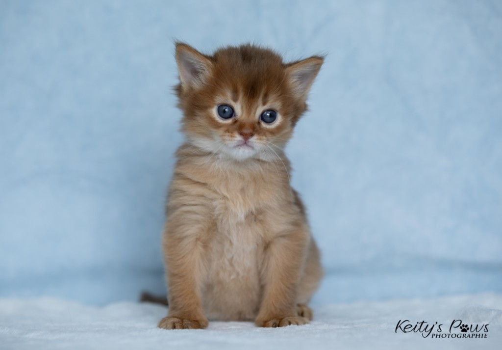 Athena-Abigail 3 Semaines