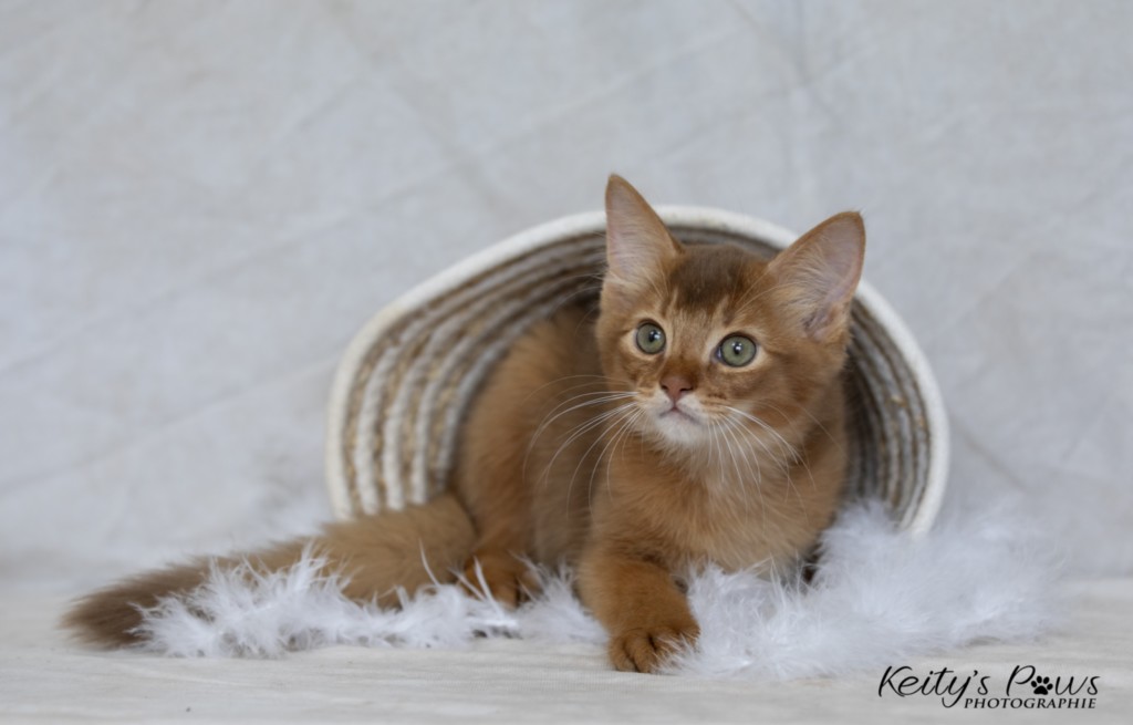  Asthur-Achille 2 Mois