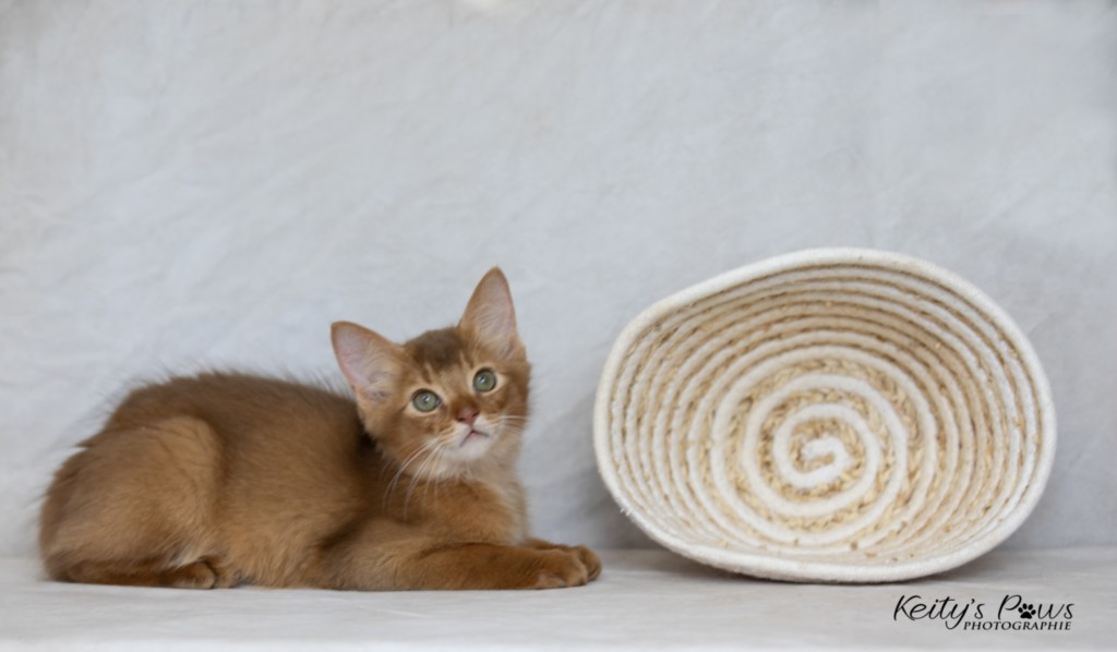  Asthur-Achille 2 Mois