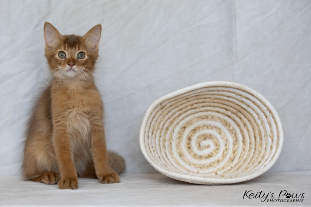  Asthur-Achille 2 Mois