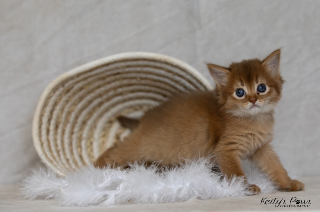 Athena-Abigail  1 Mois