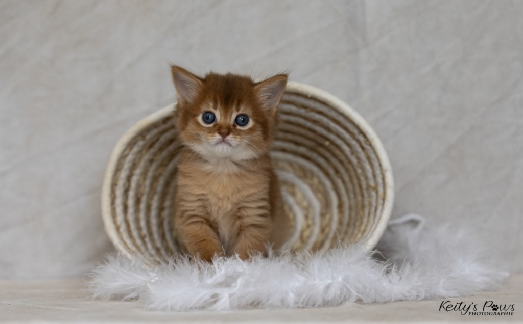 Athena-Abigail  1 Mois