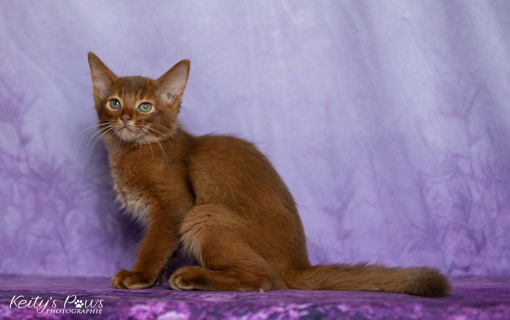  Zenkō "Teto"  2 Mois