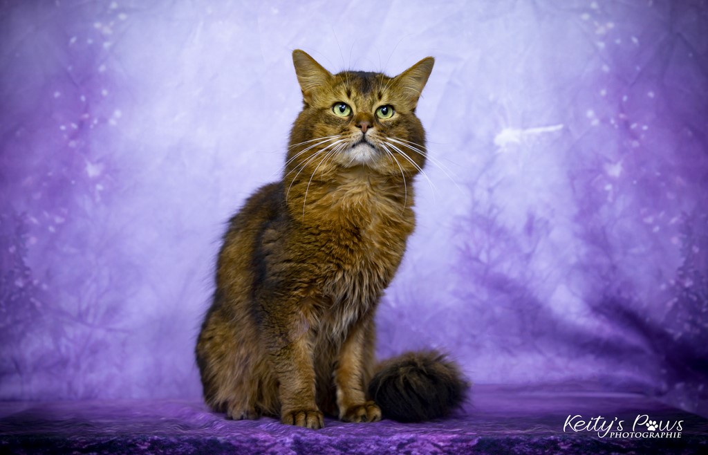 Teegän Morningstar 4 ans