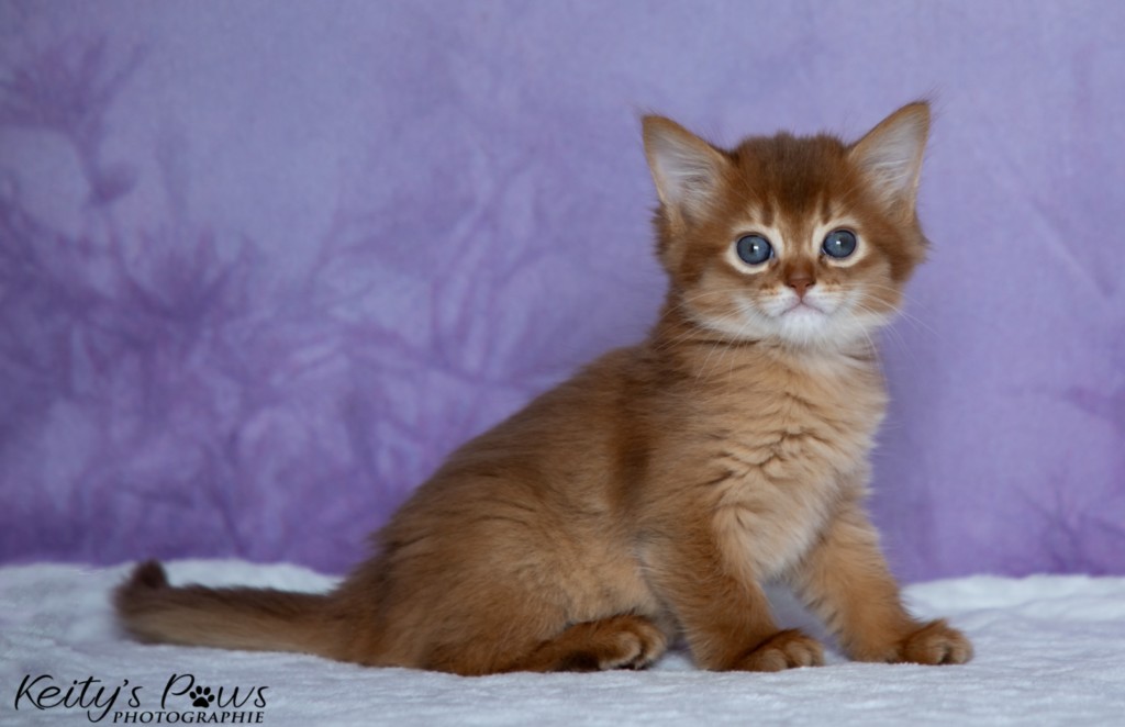  Athena-Abigail 1 Mois