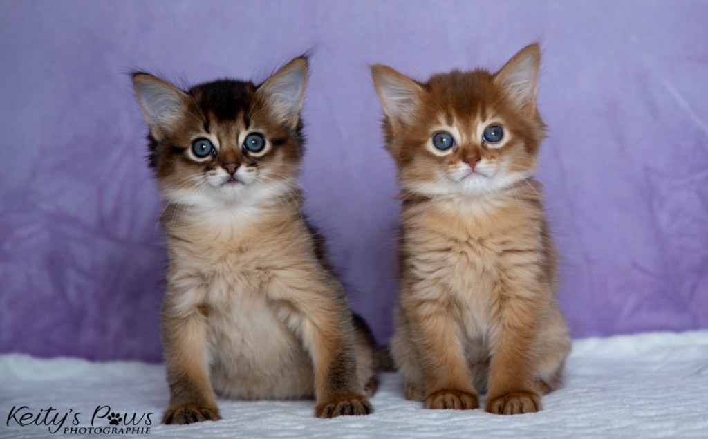 Athor-Mapel  Athena-Abigail 1 Mois