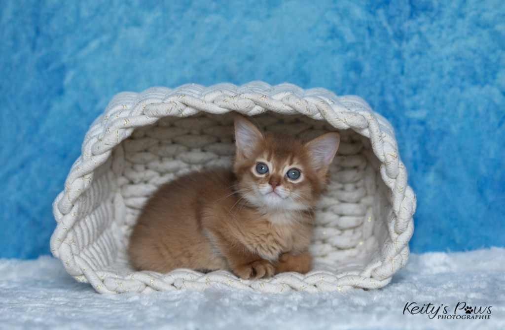 Athena -Abigail  1 Mois