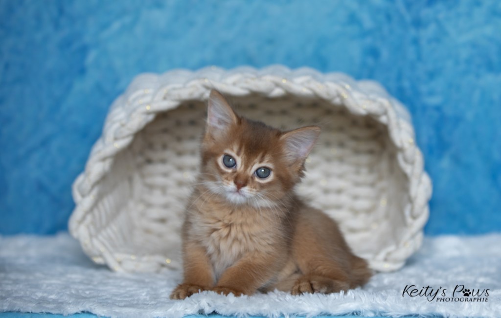 Athena -Abigail  1 Mois