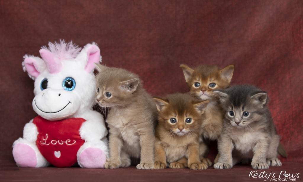 Thia Thena Thor Titania 1 Mois