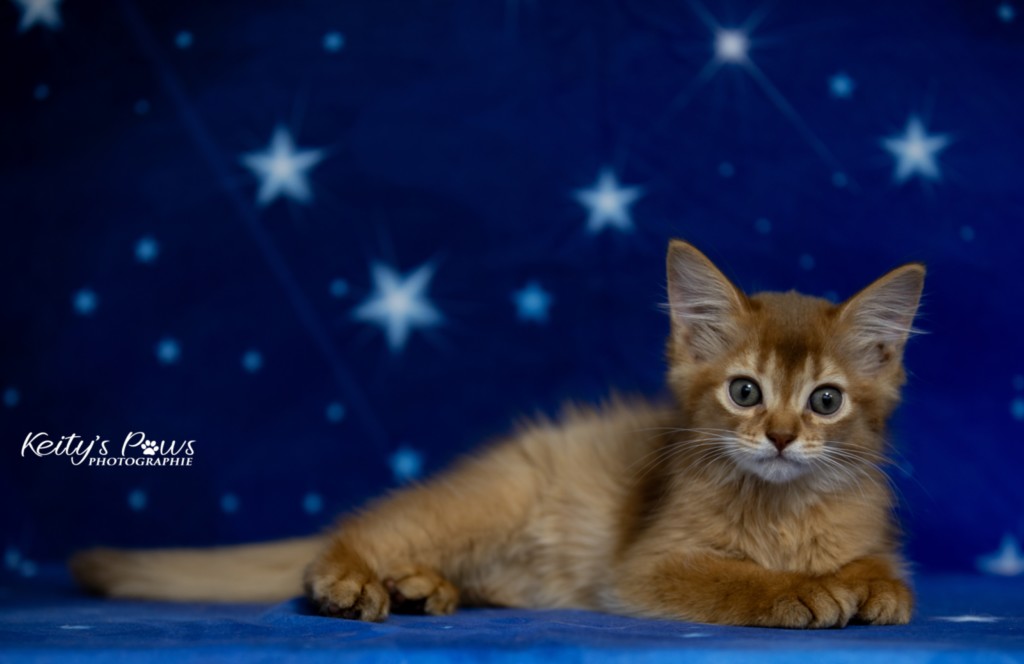 Athena -Abigail  2  Mois