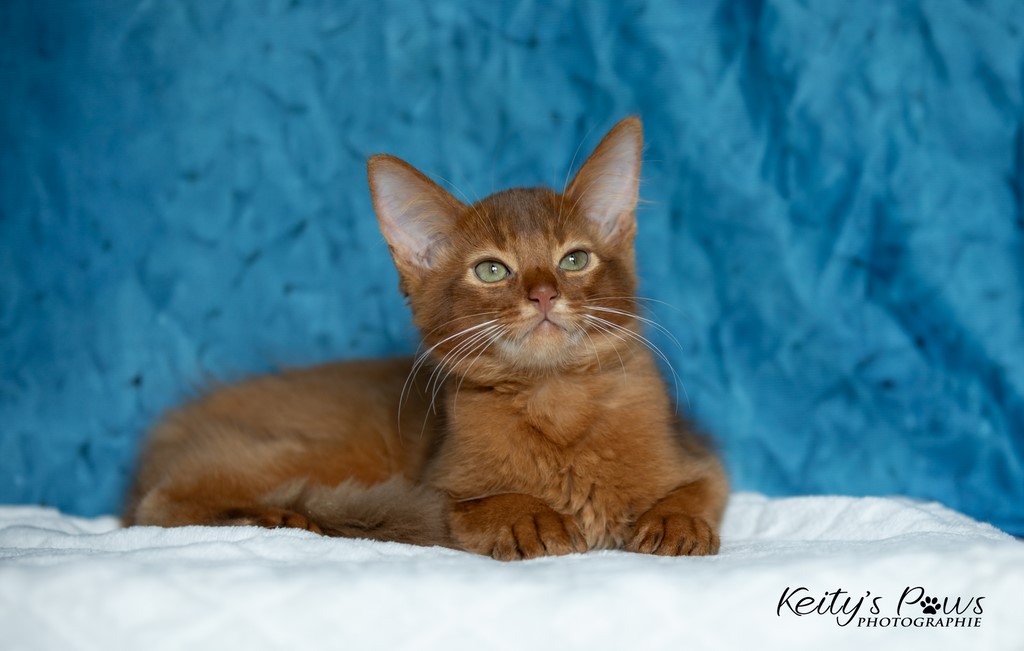  Zenkō "Teto"  3 Mois