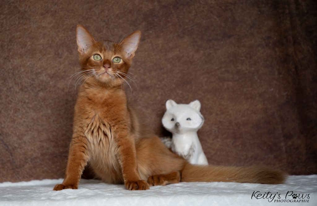  Zenkō "Teto"  3 Mois